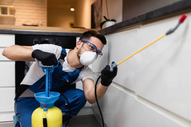 Best Best Pest Control Companies  in Inver Grove Heights, MN