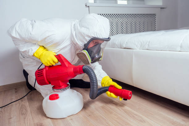 Best Affordable Pest Control Services  in Inver Grove Heights, MN