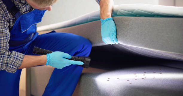 Best Mosquito Control Services  in Inver Grove Heights, MN