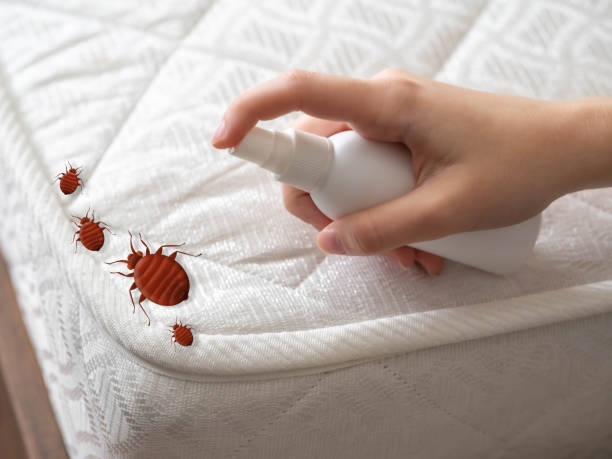 Inver Grove Heights, MN Pest Control Company